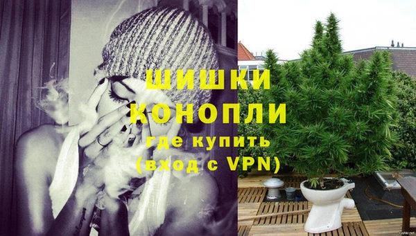 ECSTASY Медногорск