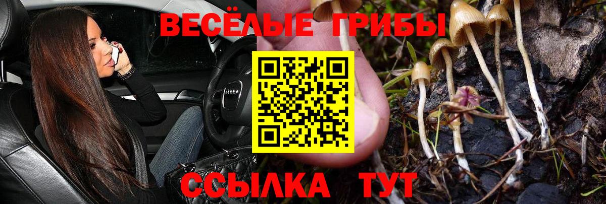 Обнинск  дарнет шоп  Вход с VPN  Псилоцибиновые грибы Psilocybe 