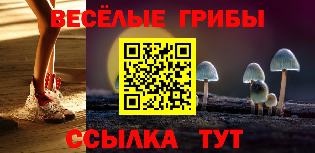 Галлюциногенные грибы Cubensis Обнинск