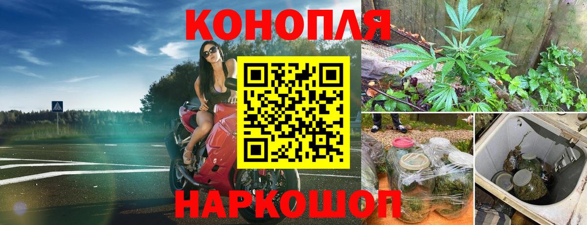 Бошки марихуана сатива Обнинск